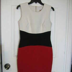 Calvin Klein Women's Knee Length Color Block Fitted Professional Dress sz 6